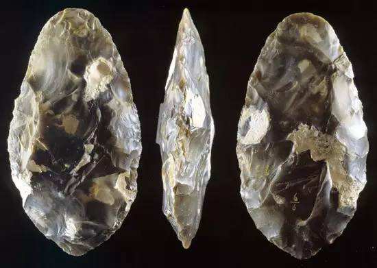 猿变人的原因,人类进化史的猿类是怎么来的