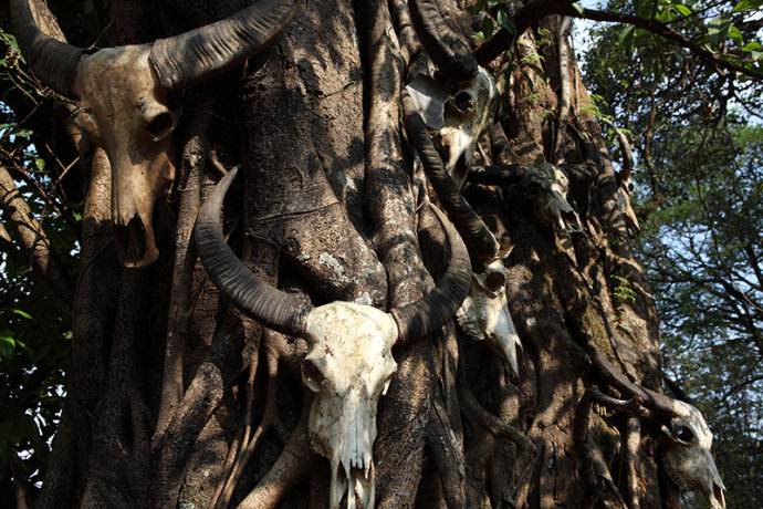 云南沧源翁丁佤寨原始部落,勐来乡到沧源翁丁原始部落几公里