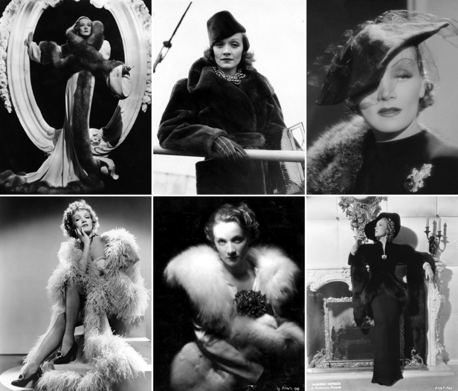 去俄罗斯,推荐买件貂皮带回去!