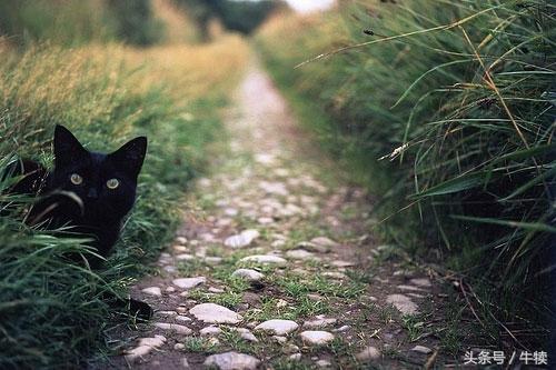 人的大部分的心酸都来源于没钱,大多数人的悲哀都是因为没有钱