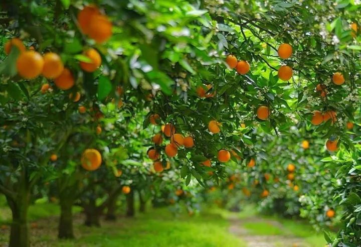 赶紧扩散!派森百有了首家线*体下**验店!