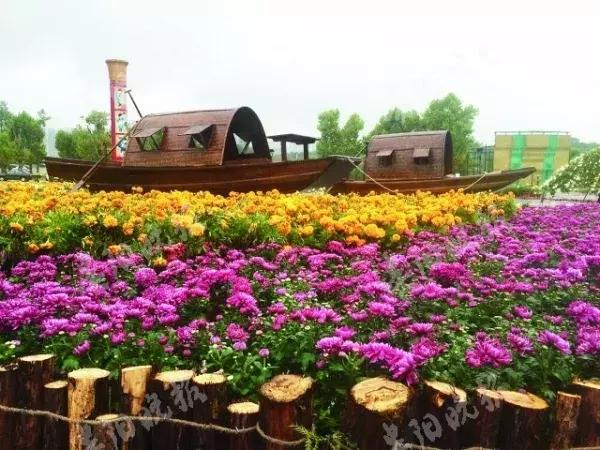 徜徉在“花的海洋”！观山湖公园金秋菊展明日启幕，10万盆菊花等你来