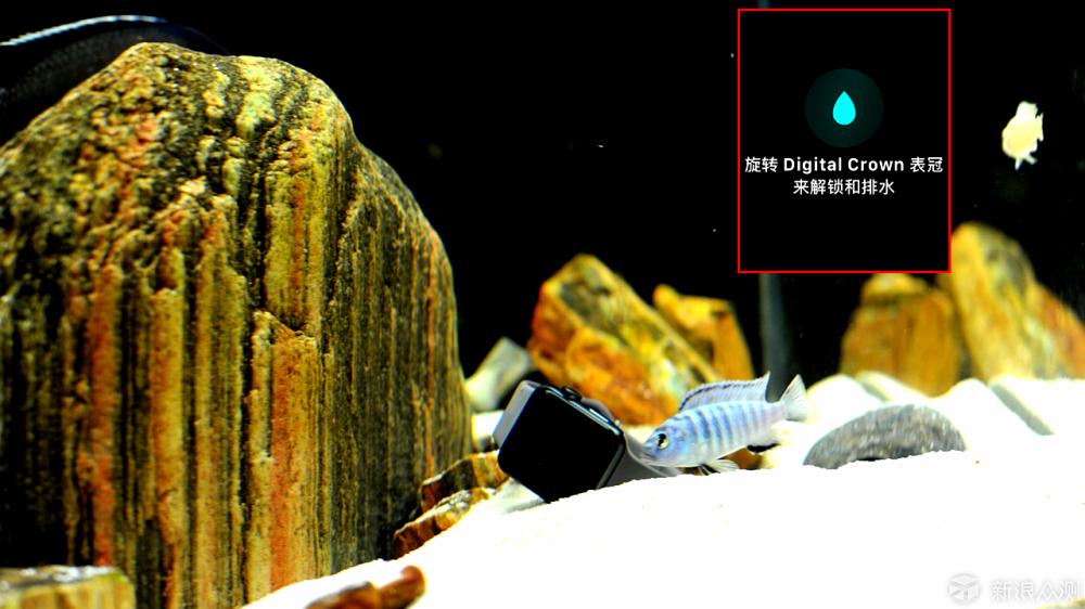 applewatchseries3测评,applewatchseries38g体验