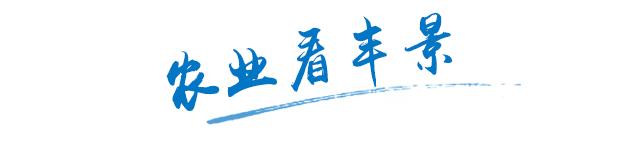 山东哪个农药厂最好,山东十大农药厂家排名前十