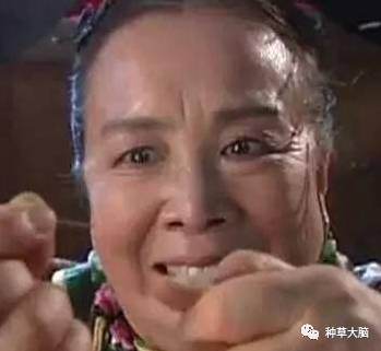 日本平价面霜排行榜前十名,日本平价好用的护肤品