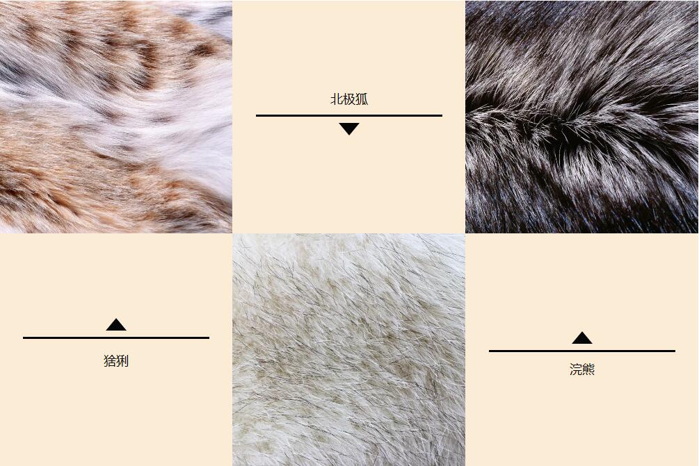 去俄罗斯,推荐买件貂皮带回去!