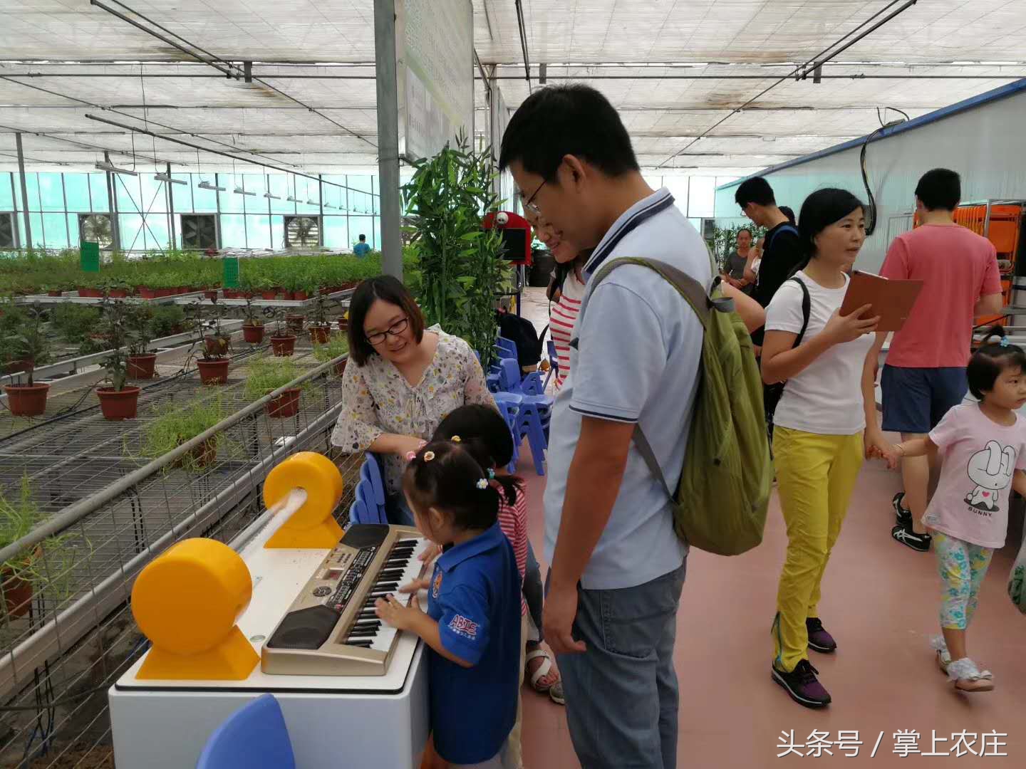 小萌豆自然学堂碧岭营地的蜜蜂课堂