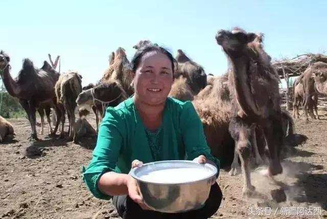新疆的饮料什么牌子好喝,新疆必喝的饮料
