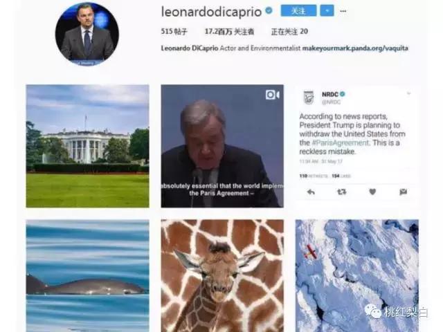 杩附鐑反鑷甫缇庨,鍏虫檽褰よ开涓界儹宸存棤缇庨