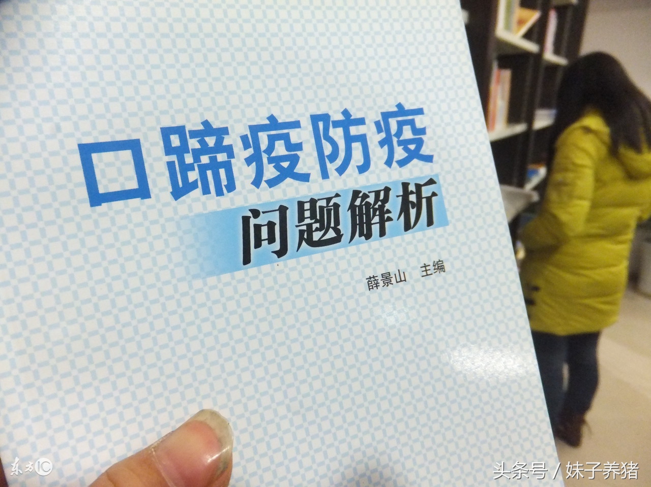 猪打口蹄疫疫苗应激,猪打口蹄疫疫苗要注意什么