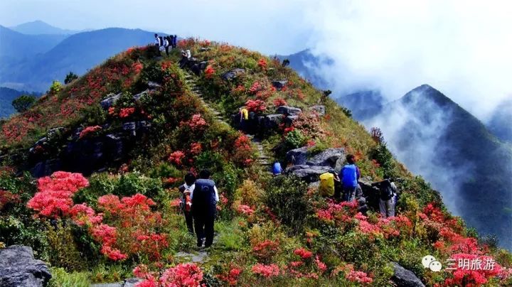 其实三元也不是很好,只有这三大美而已!