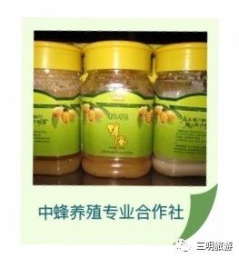 其实三元也不是很好,只有这三大美而已!