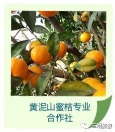 其实三元也不是很好,只有这三大美而已!