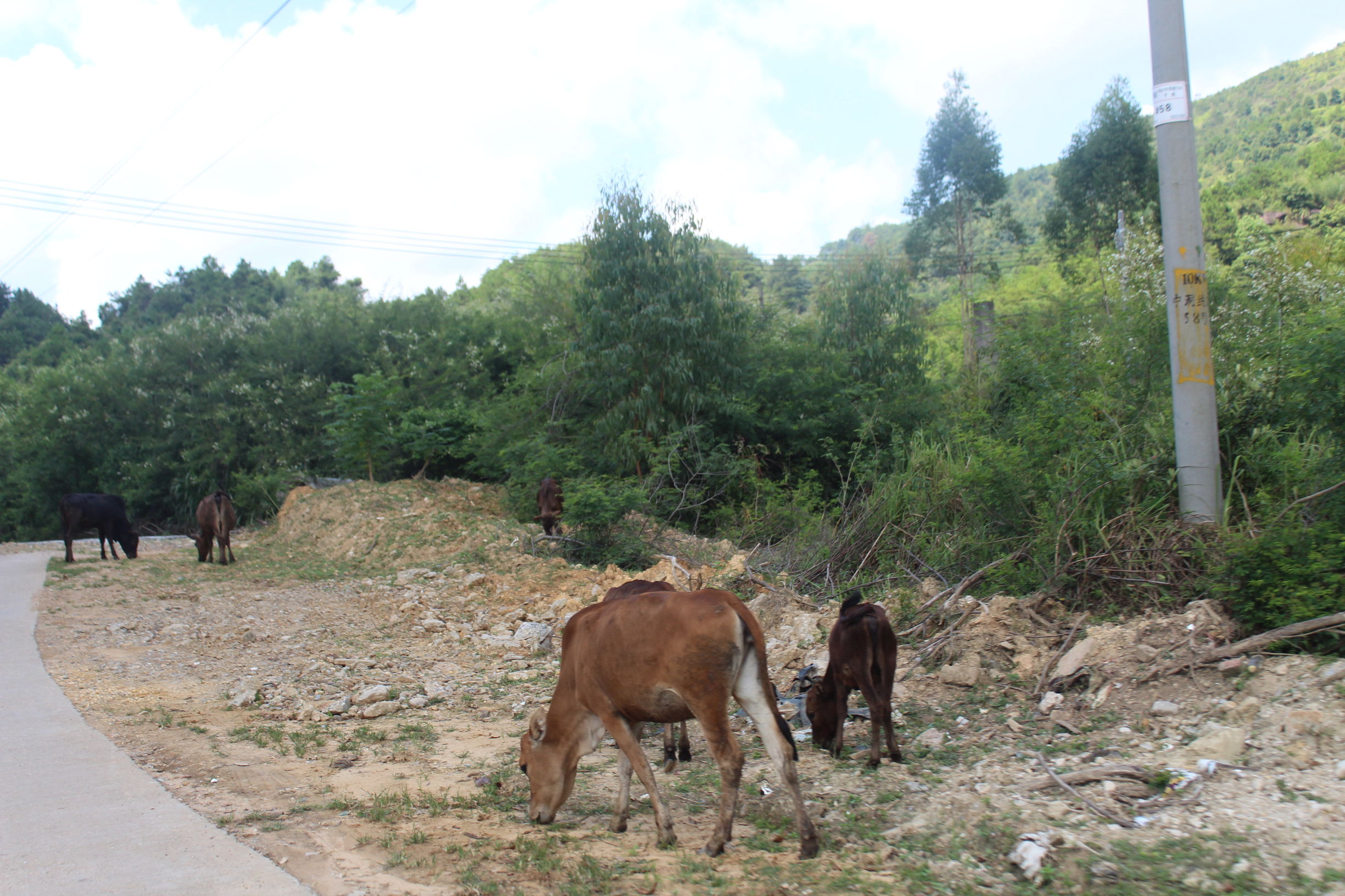 心系河源情归忠信——第二集走进无人区中洞村（下）