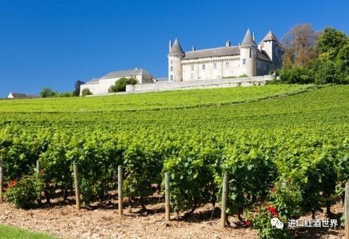 1855列级酒庄干红大拉菲,1855列级酒庄2015