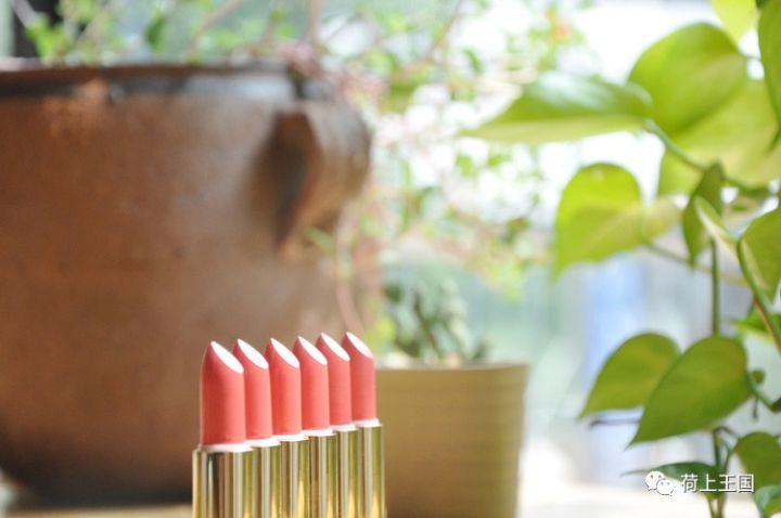 顶级植物油+进口SunChemical植物色粉,用心手作安全滋润口红