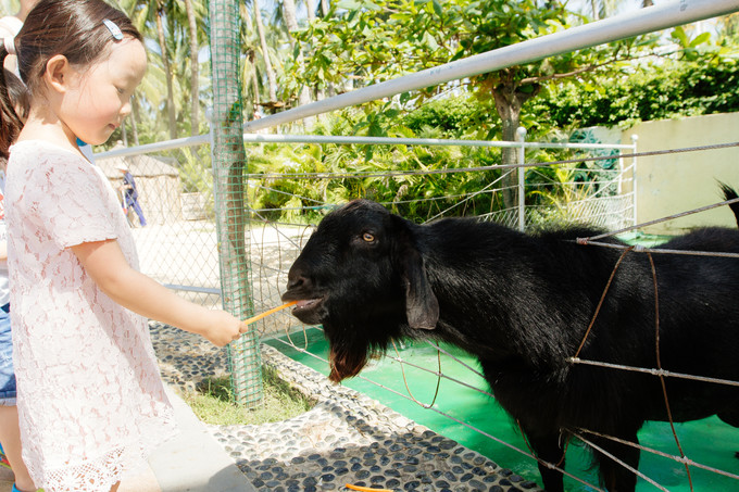 我们和孩子一起去三亚旅行,一大两小亲子三亚游