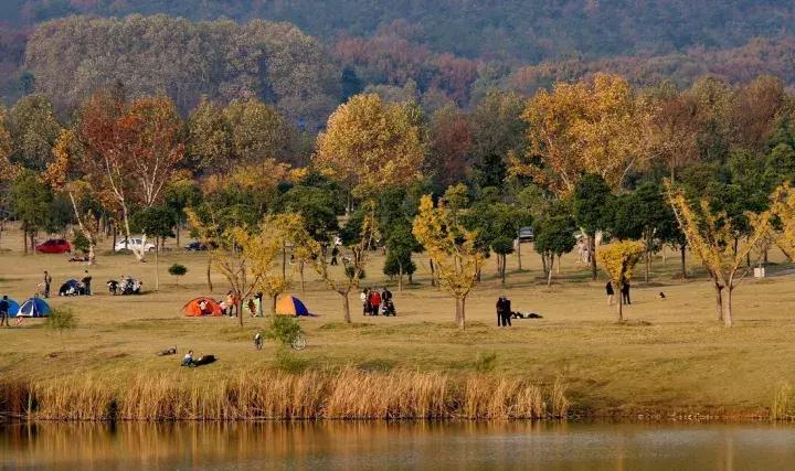南京骑行最美路线浦口老山,南京十大最美骑行路