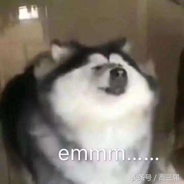 文理科差别大怎么办,文理科分班的区别