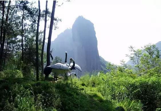 一月份去天津攻略,冬天去天津两日游攻略