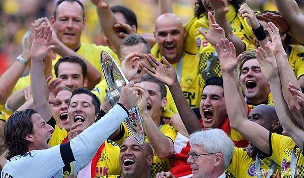 蜜蜂战斗大黄蜂,大黄蜂与蜜蜂的激烈战斗