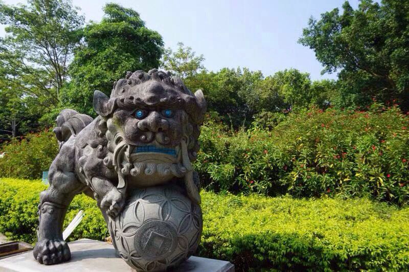 漫步云霄,漫步云霄县