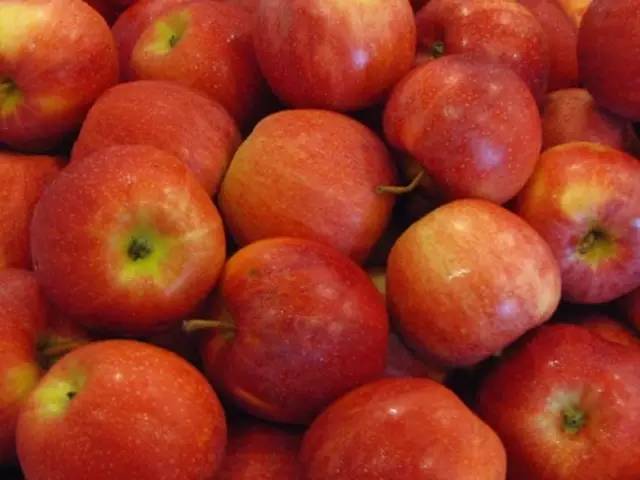 小苏打的妙用小知识你知道吗,小苏打有这么多的妙用你们知道吗