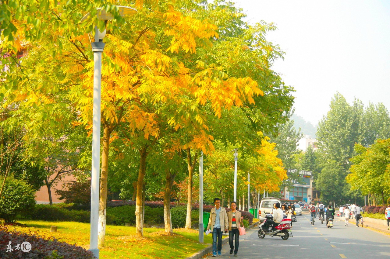淘宝不开直通车是怎么做才有流量,淘宝开直通车怎么带动免费流量