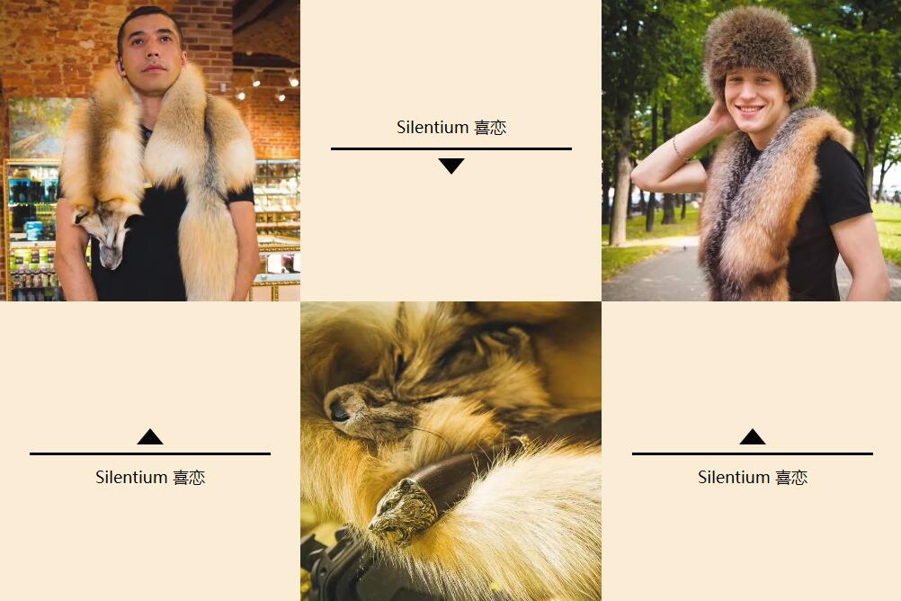 去俄罗斯,推荐买件貂皮带回去!