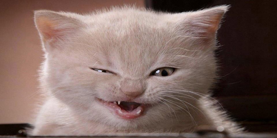 超级搞笑图片二十张不信你不笑,搞笑的图片笑到肚子痛