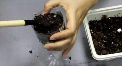 懒人自动吸水瓶养花,塑料瓶懒人花盆自动吸水