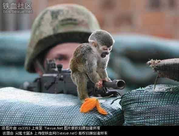 超级搞笑图片二十张不信你不笑,搞笑的图片笑到肚子痛