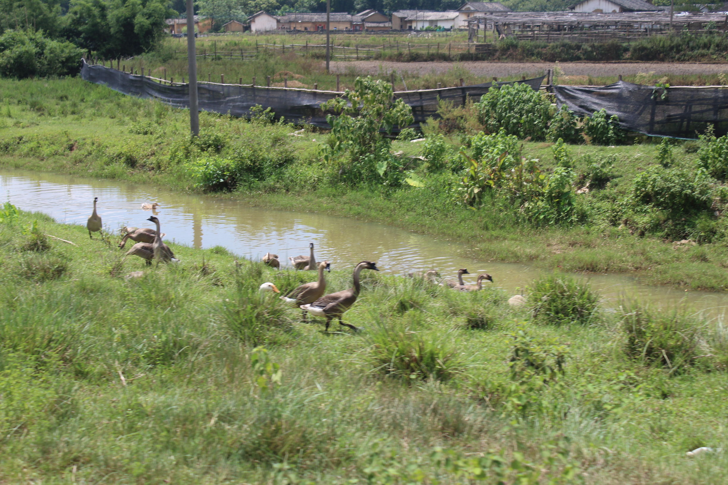 心系河源情归忠信——第二集走进无人区中洞村（下）