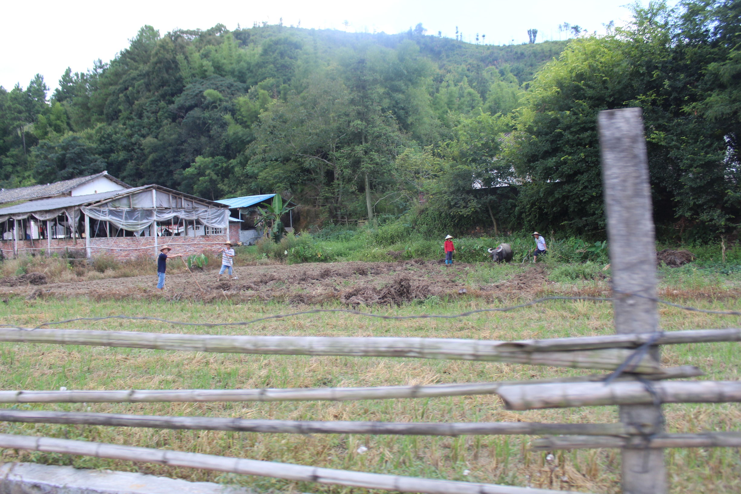 心系河源情归忠信——第二集走进无人区中洞村（下）