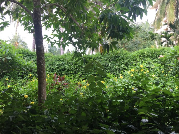 我们和孩子一起去三亚旅行,一大两小亲子三亚游