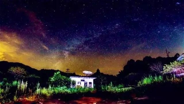 美得不像样子！广州秋季“花潮”来袭，你最想和谁一起看