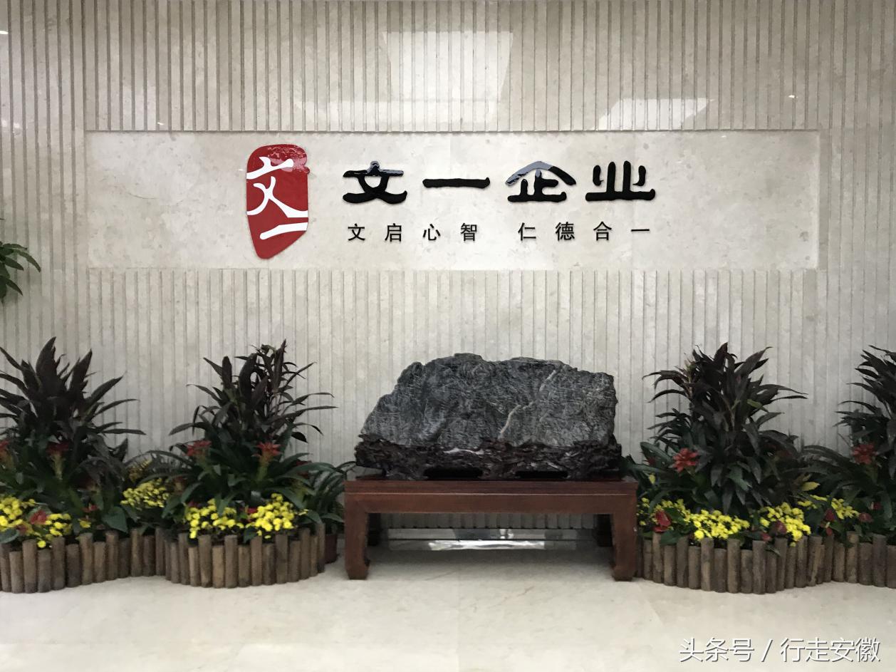 文一杨平：看好合肥北城发展前景以更高品质回馈业主
