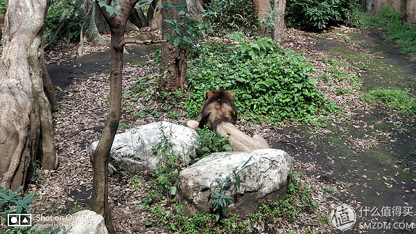 日本一日游皇居,自由行日本皇居攻略