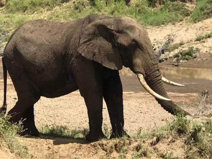曾哥美国视频,曾哥美国