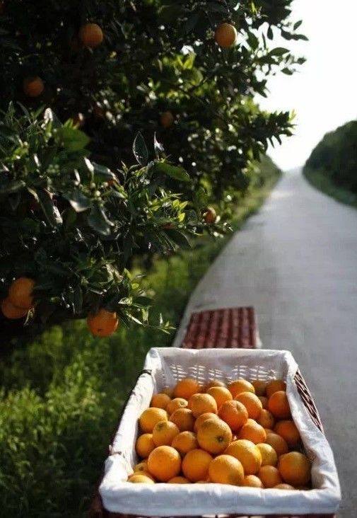 赶紧扩散!派森百有了首家线*体下**验店!