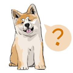 其实三元也不是很好,只有这三大美而已!