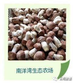 其实三元也不是很好,只有这三大美而已!