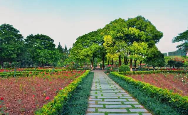 喜大普奔！上海这些东西统统免费，不知道你就亏大了！