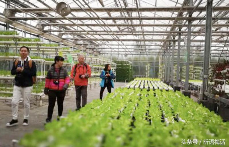 现代农业看杨凌,杨凌国家农业高新技术产业示范区