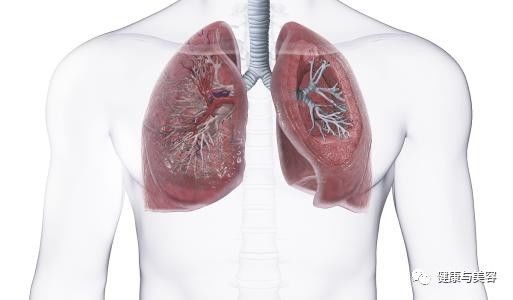 分享给你中医博士的秋季肌肤内调保养处方笺！