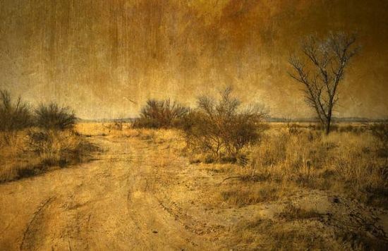 新鞋臭怎么办快速去除,鞋子总是有一股霉臭味道怎么处理