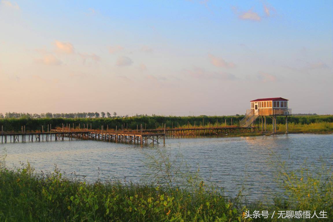 江苏连云港灌云县简介,中国江苏连云港灌云