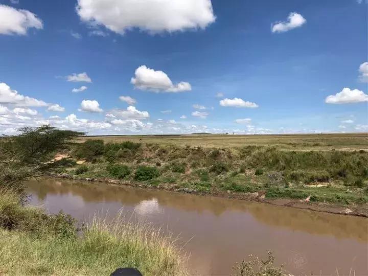 曾哥美国视频,曾哥美国