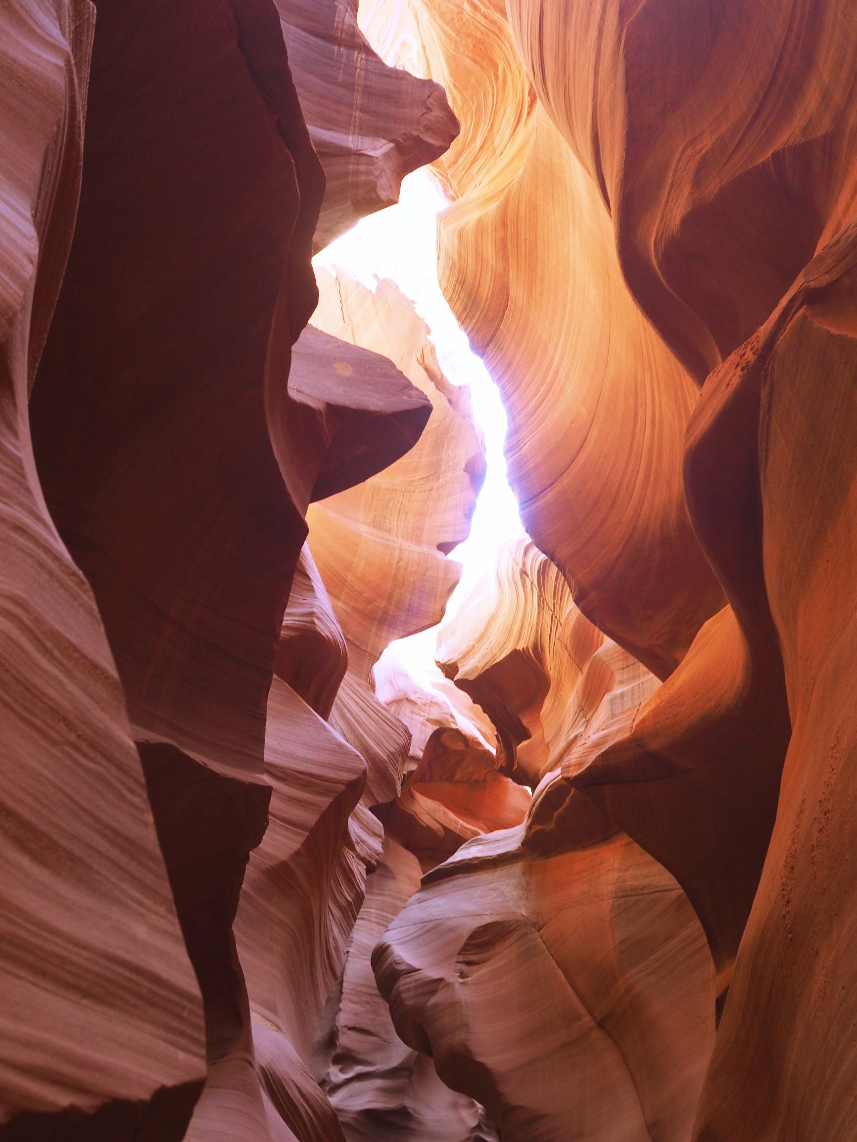 美国自驾游攻略最新,美国旅游攻略自由行