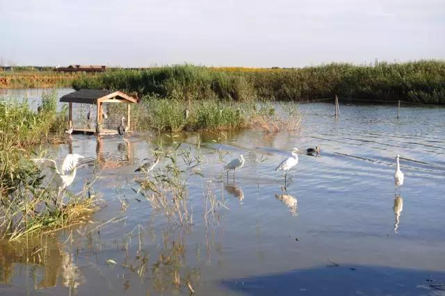 一月份去天津攻略,冬天去天津两日游攻略